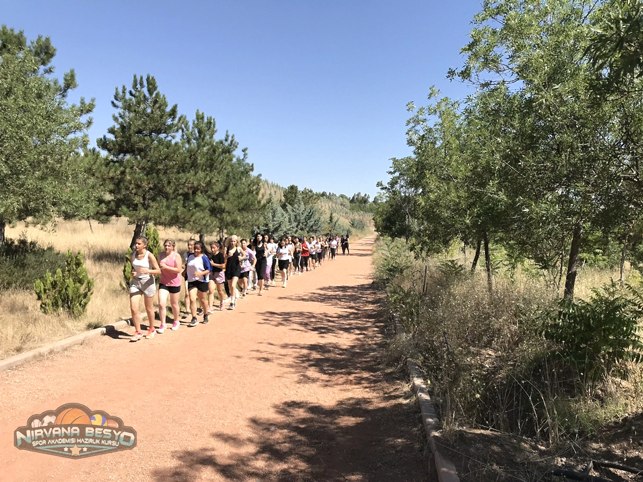 Besyo Mezunlarının Çalışma Alanları